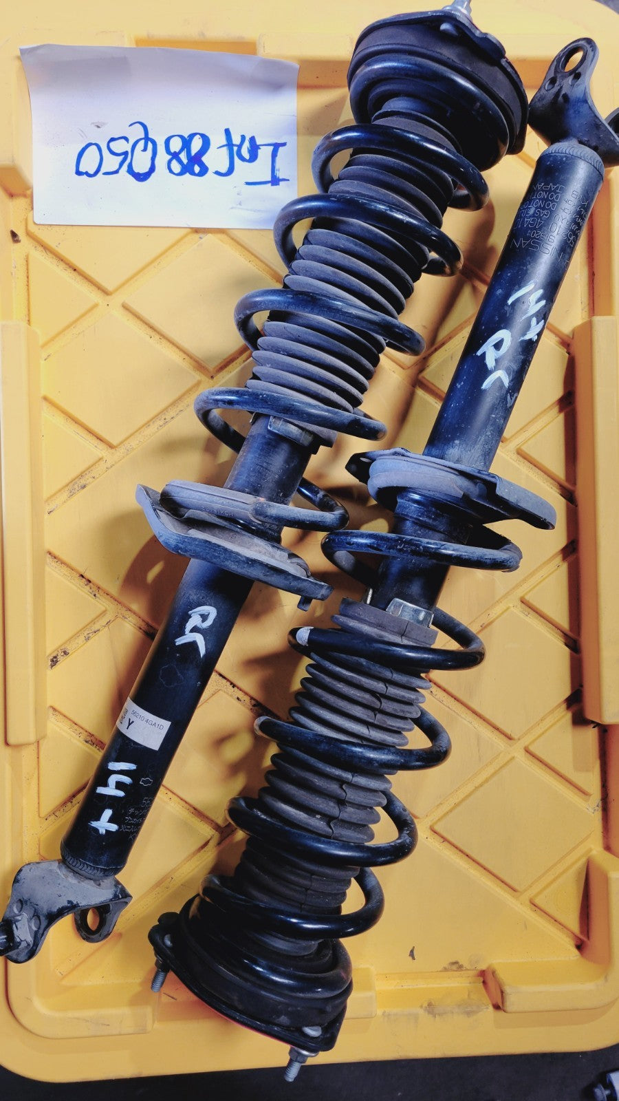 Image #3